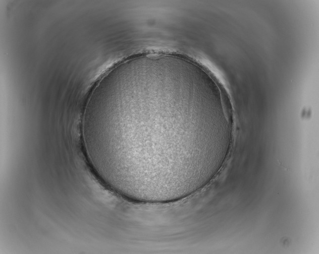 X0000091570009200709051049