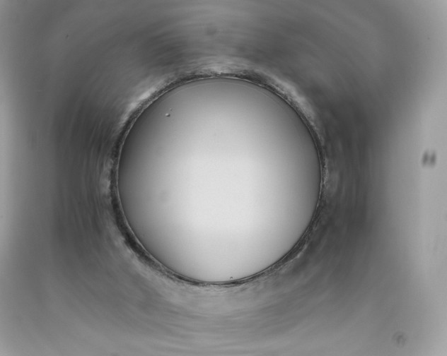 X0000091570010200709051049