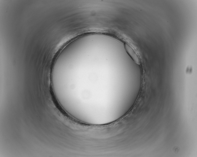 X0000091570011200709051049