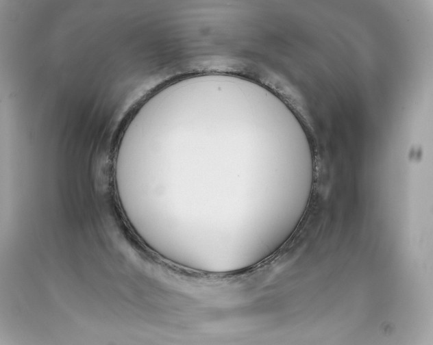 X0000091570012200709051049