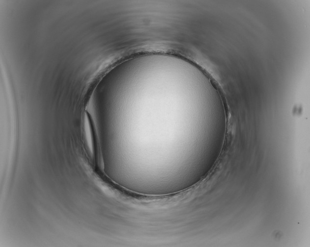 X0000091570013200709051049