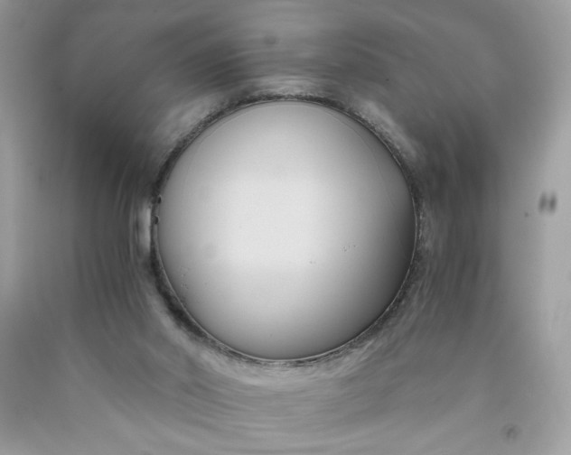 X0000091570014200709051049