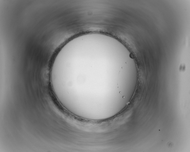 X0000091570016200709051049