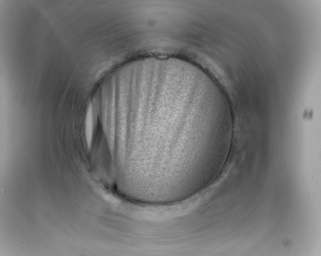 X0000091570017200709051049