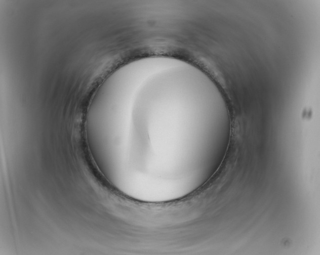 X0000091570018200709051049