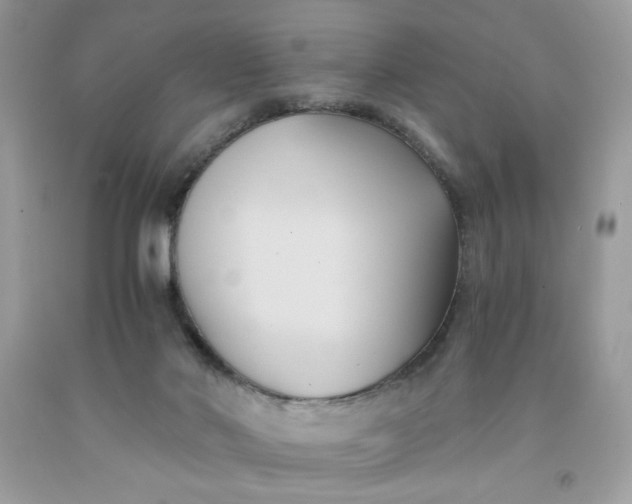 X0000091570022200709051049