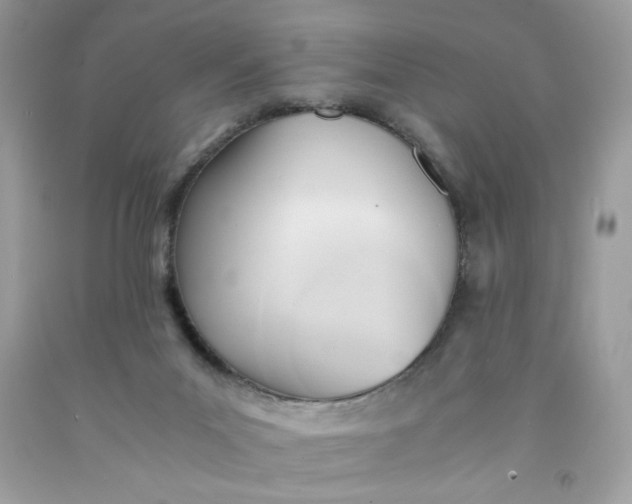 X0000091570023200709051049