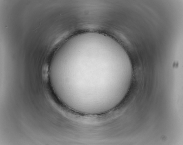 X0000091570024200709051049