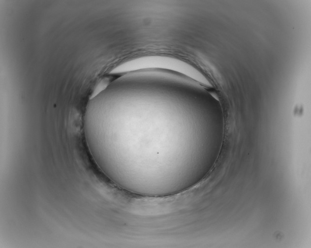 X0000091570025200709051048