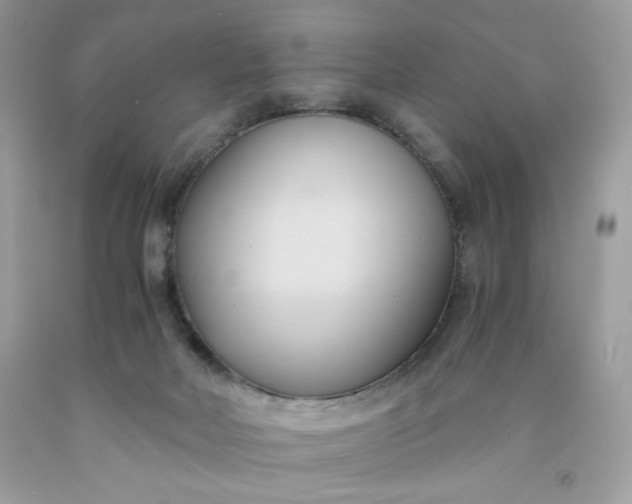 X0000091570026200709051048