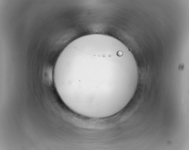 X0000091570028200709051048