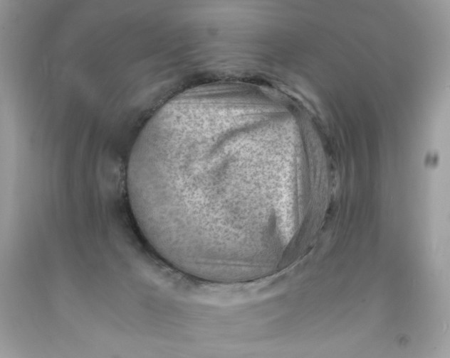 X0000091570029200709051048