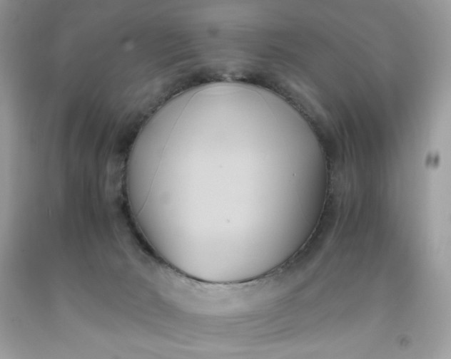 X0000091570030200709051048