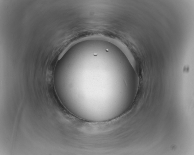 X0000091570033200709051048