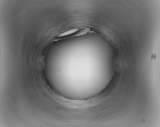 X0000091570034200709051048