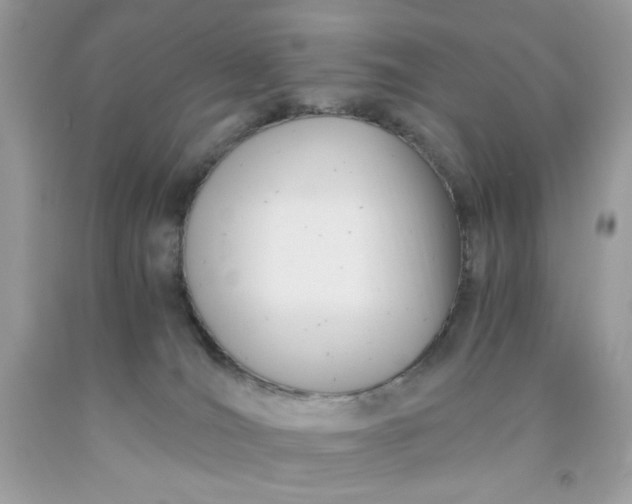 X0000091570036200709051048