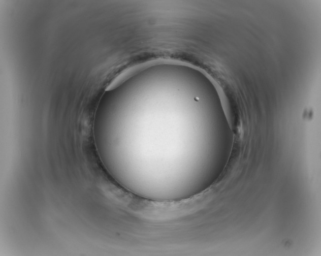 X0000091570037200709051048