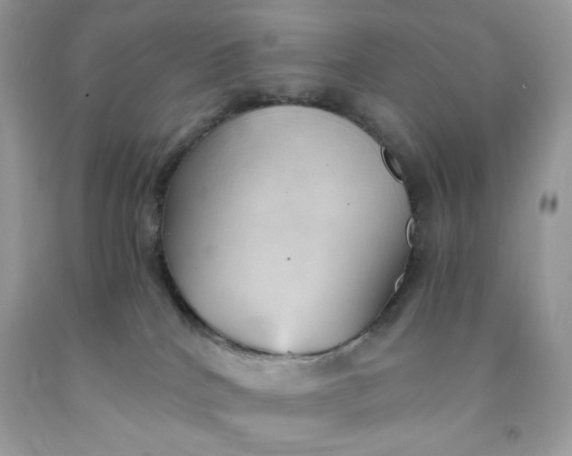 X0000091570040200709051048