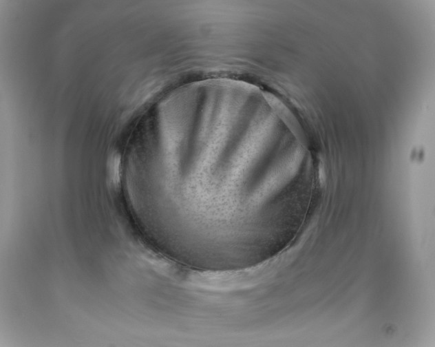 X0000091570041200709051048