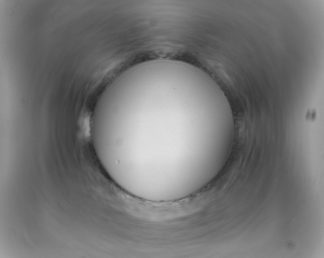 X0000091570042200709051048