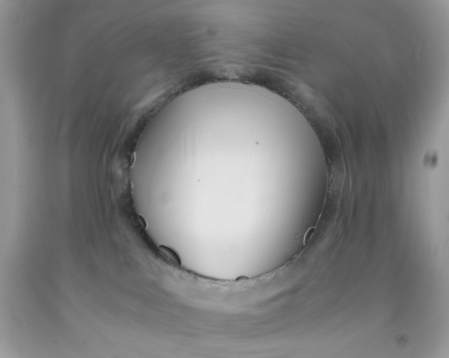 X0000091570043200709051048