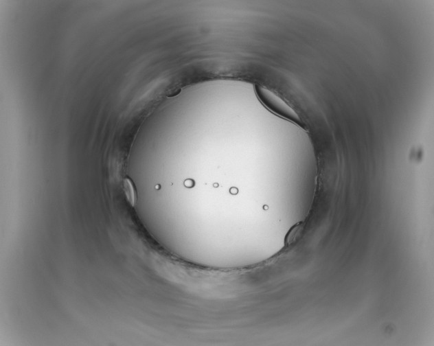 X0000091570044200709051048