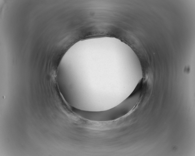 X0000091570045200709051048