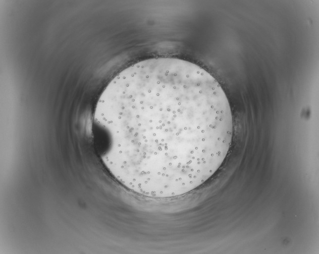 X0000091570046200709051048