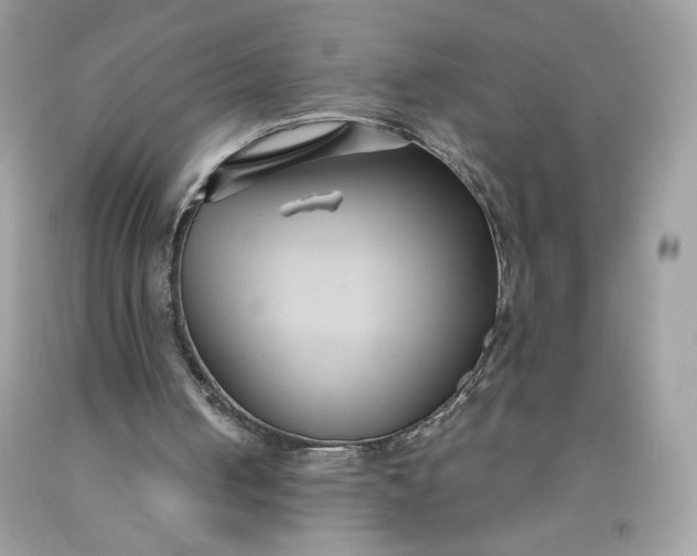 X0000091570050200709051047