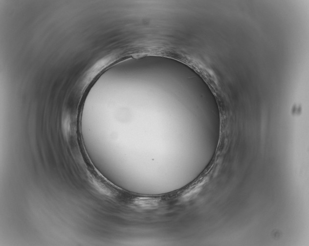 X0000091570051200709051047