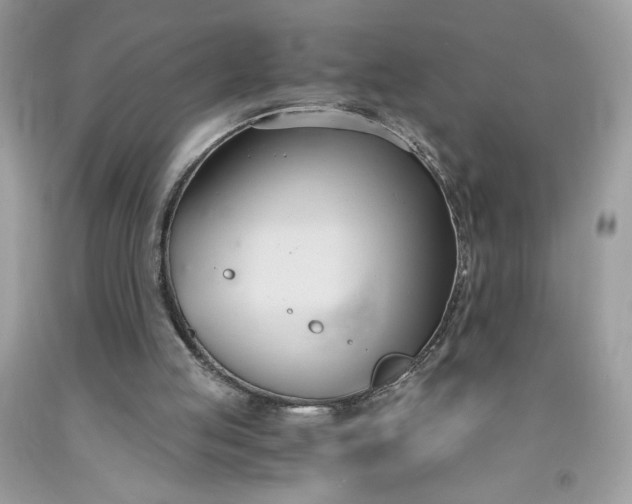 X0000091570053200709051047