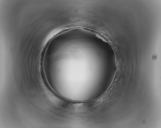 X0000091570054200709051048