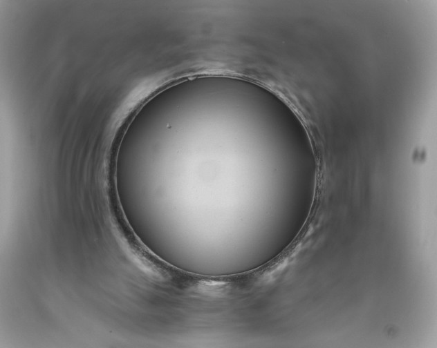 X0000091570055200709051048