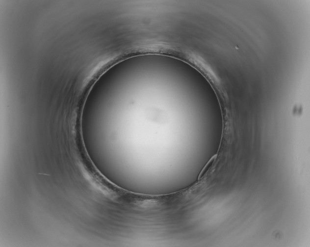 X0000091570058200709051048