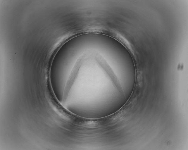 X0000091570059200709051048