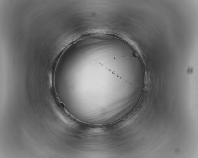 X0000091570061200709051048