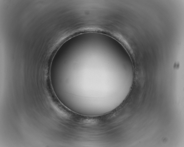 X0000091570063200709051048