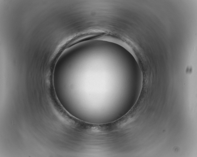 X0000091570064200709051048