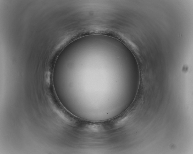 X0000091570067200709051048