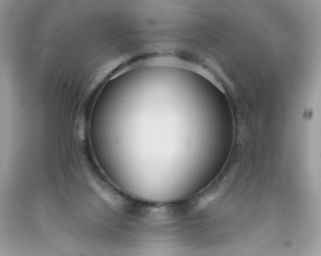 X0000091570068200709051048