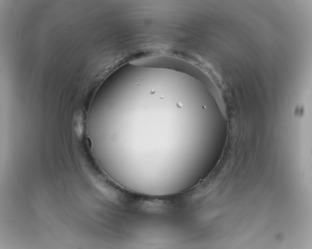 X0000091570069200709051048