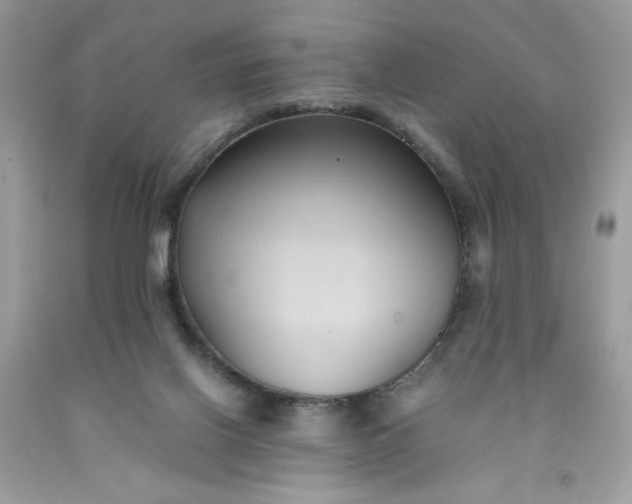 X0000091570070200709051048