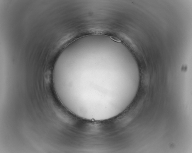 X0000091570071200709051048