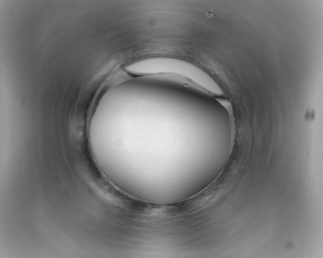 X0000091570072200709051048