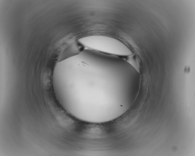 X0000091570073200709051048