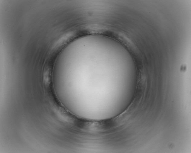 X0000091570074200709051048