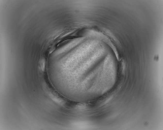 X0000091570076200709051048