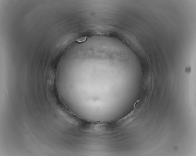 X0000091570078200709051048