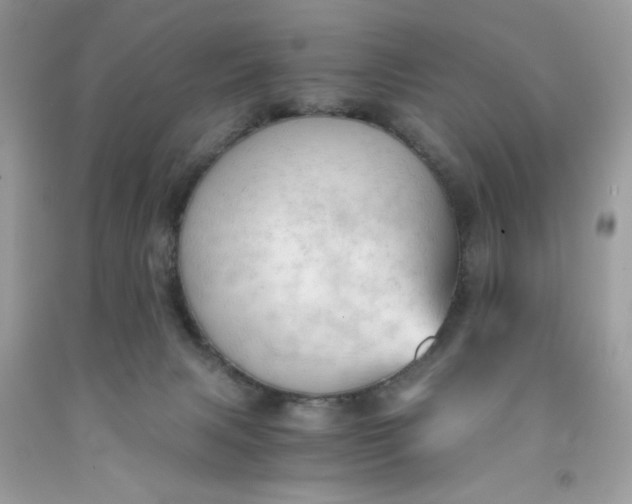 X0000091570079200709051048