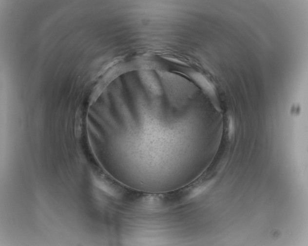 X0000091570080200709051048